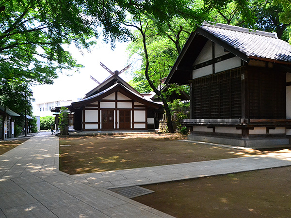 北沢川緑道の花