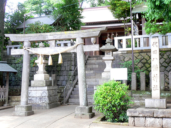 北沢川緑道の花