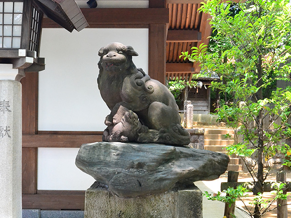 北沢川緑道の花