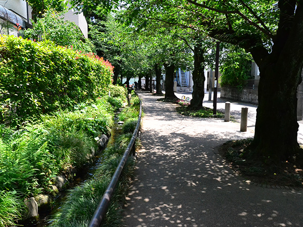 北沢川緑道
